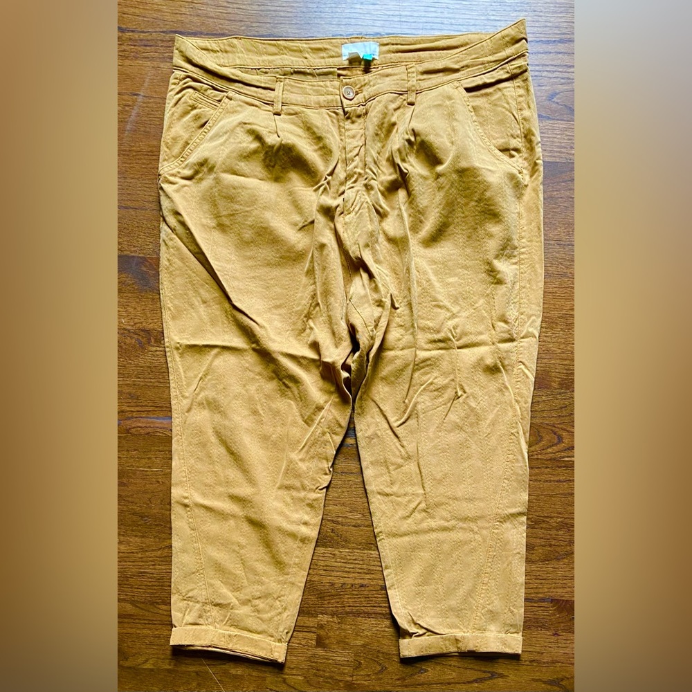 NWOT Anthropologie plus pants